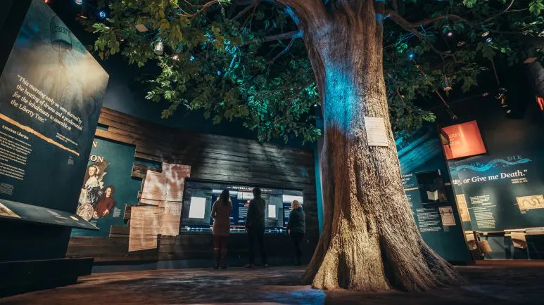 Recreation of the Liberty Tree in The Road to Independence section of the Museum