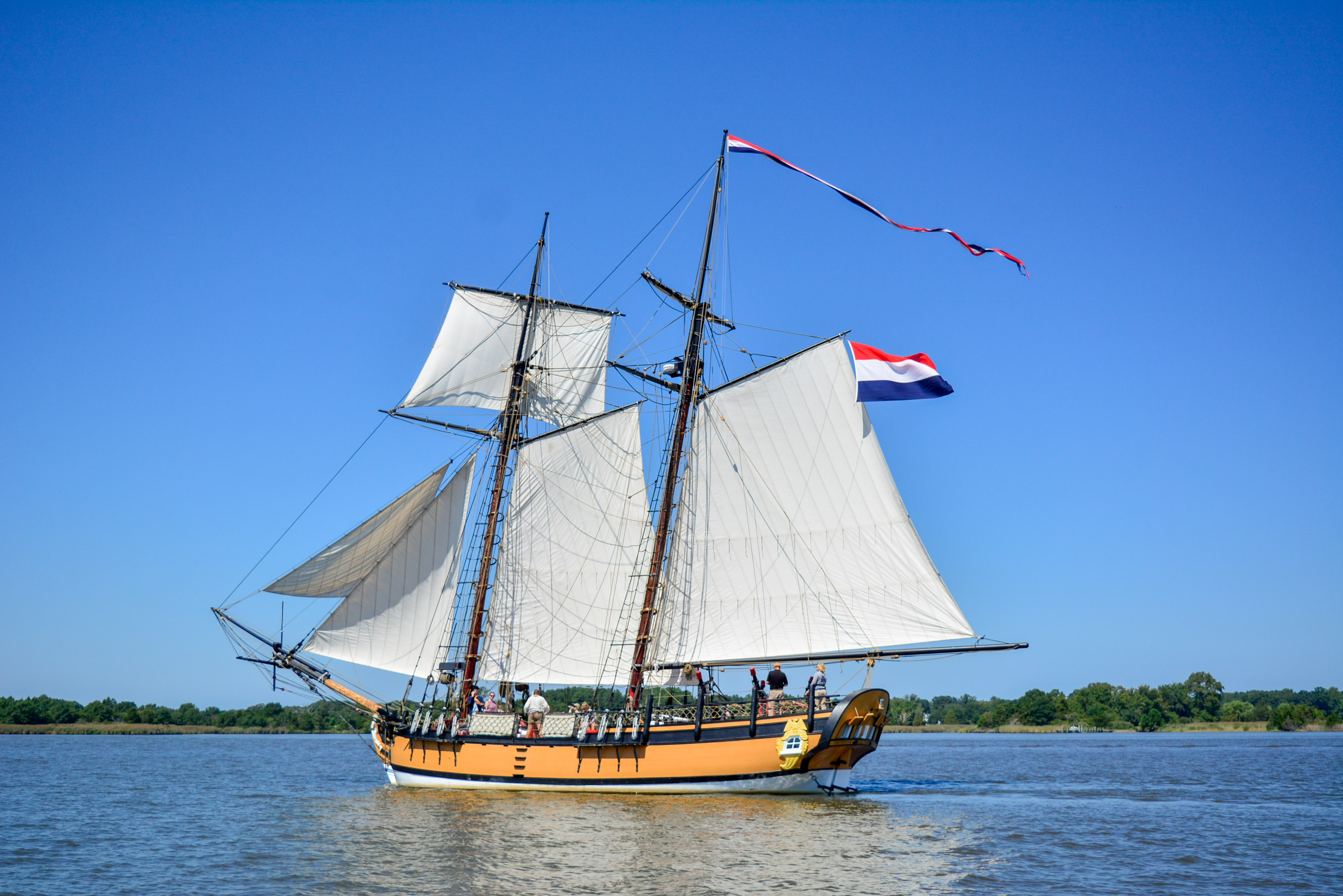 Image Alt Text