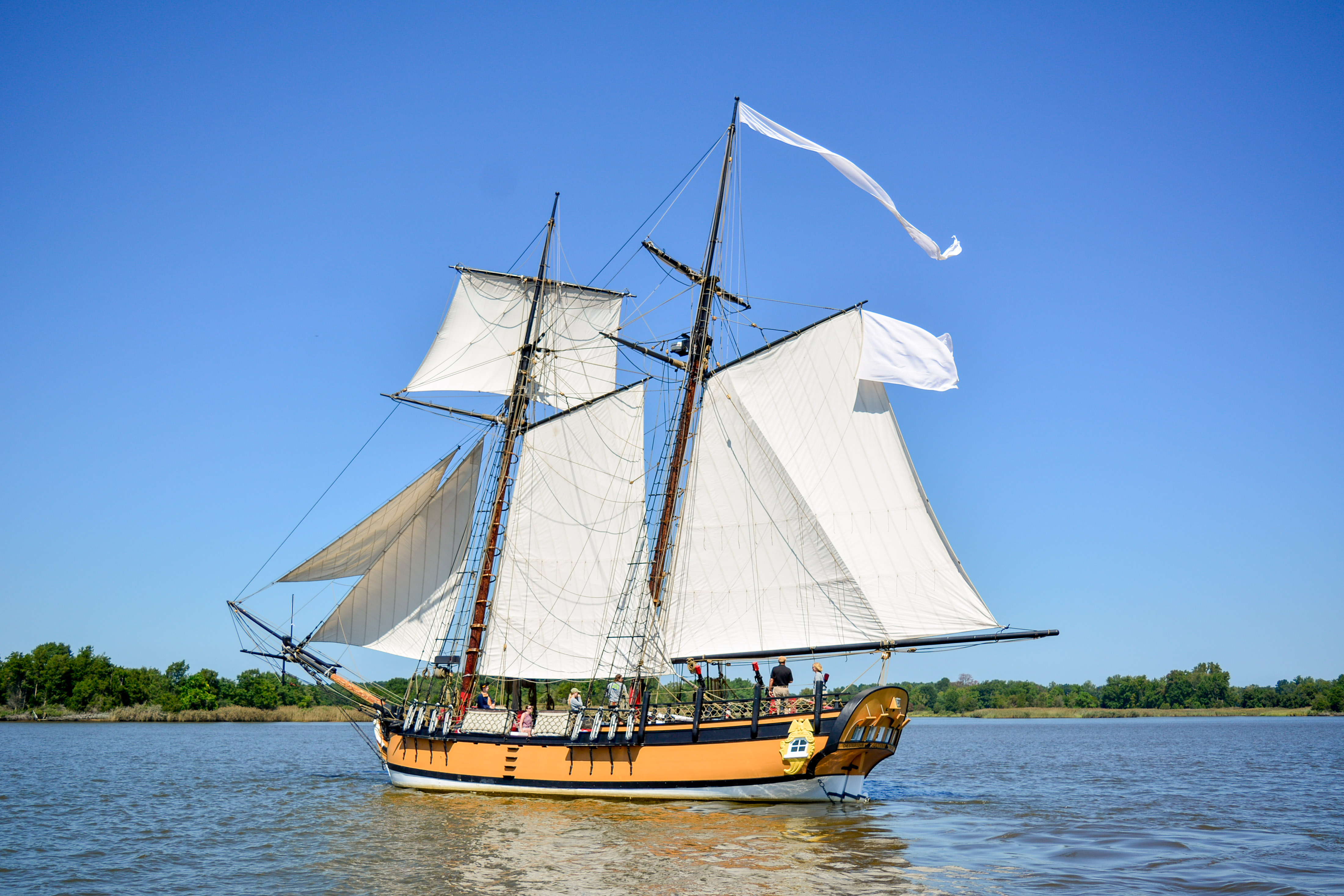 Image Alt Text