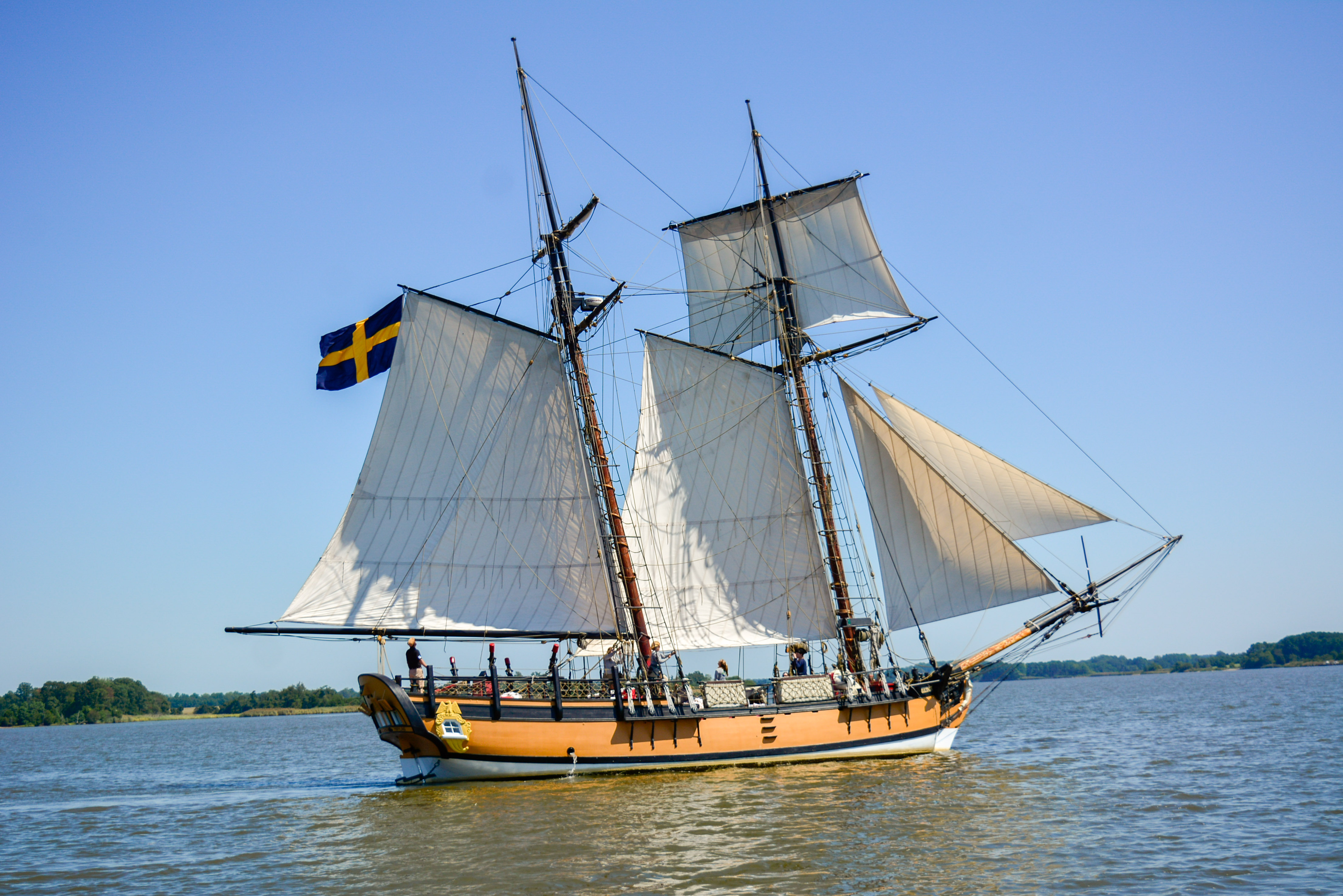 Image Alt Text