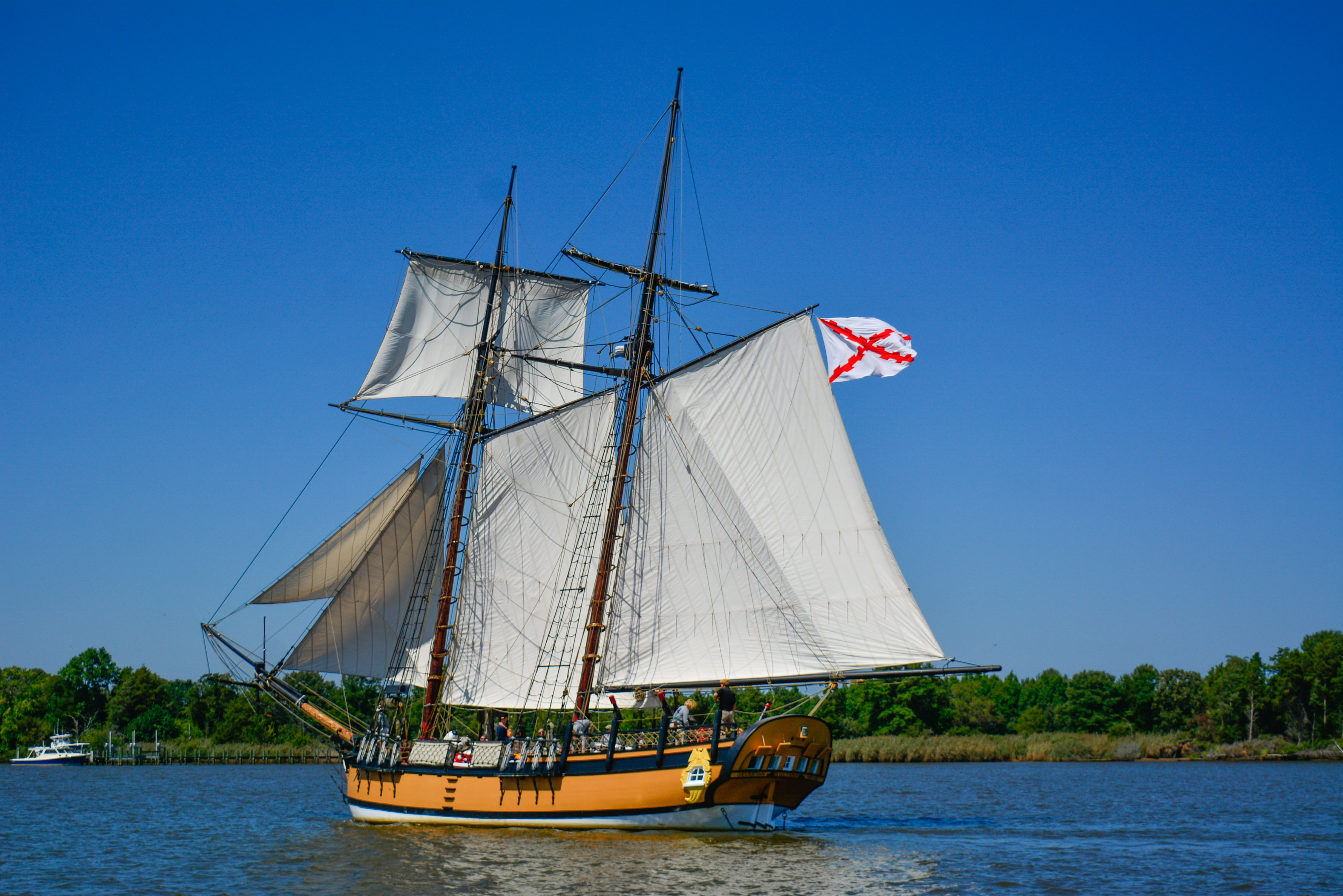 Image Alt Text