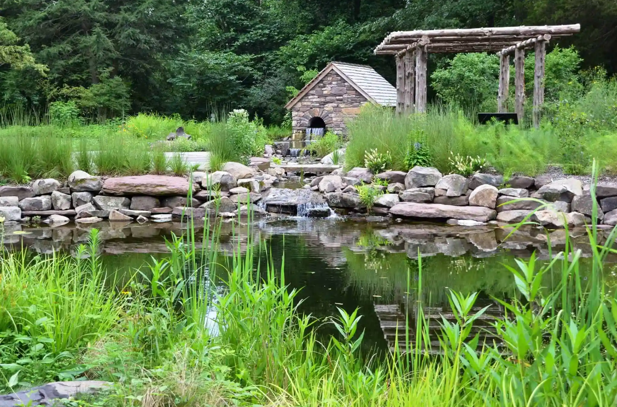 This image shows a pond lined with stones surrounded by greenery in a garden as Bowman Hill Wildflower Preserve.