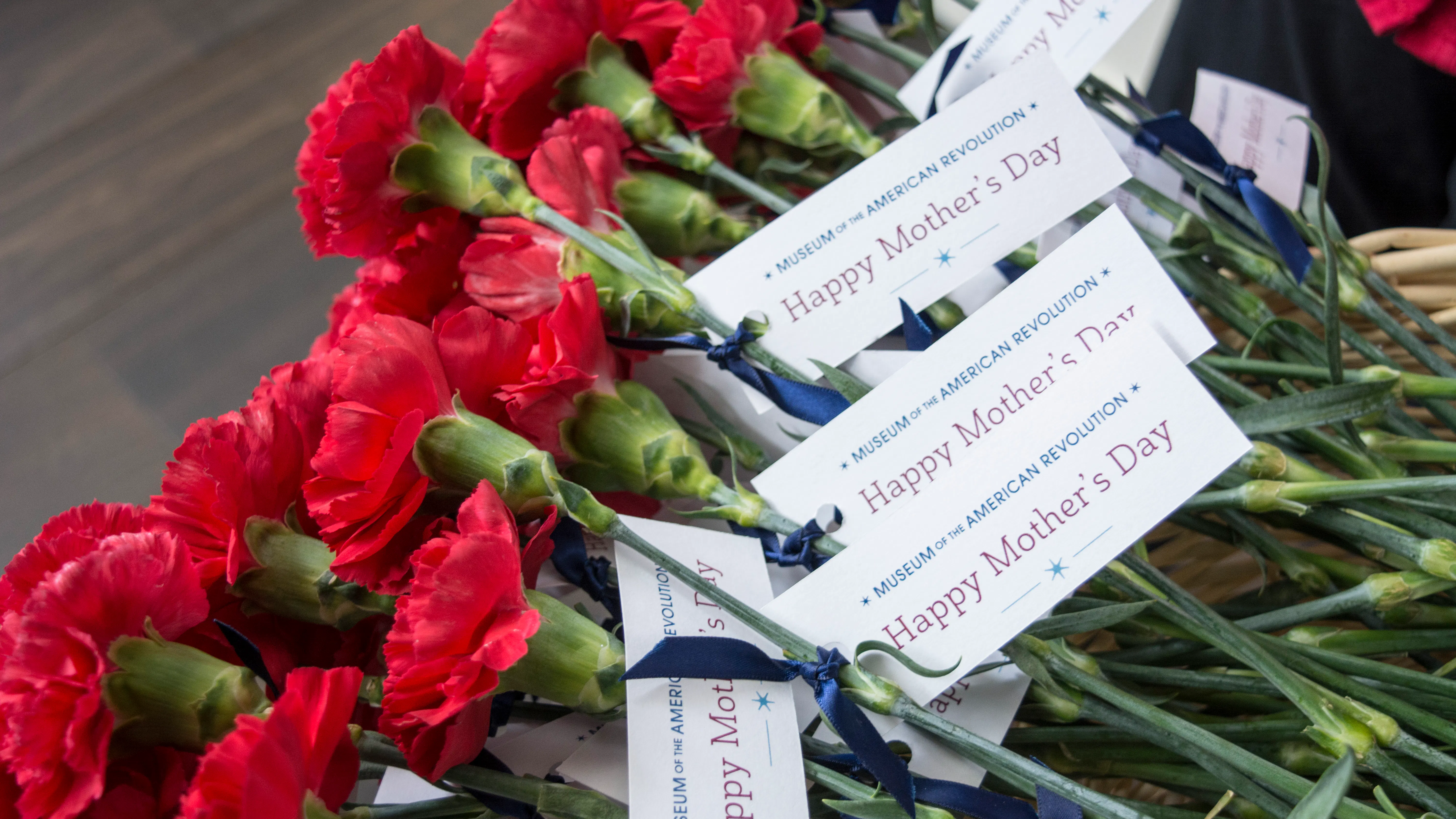 Image 040721 Mothersdaycarnation Mothersday
