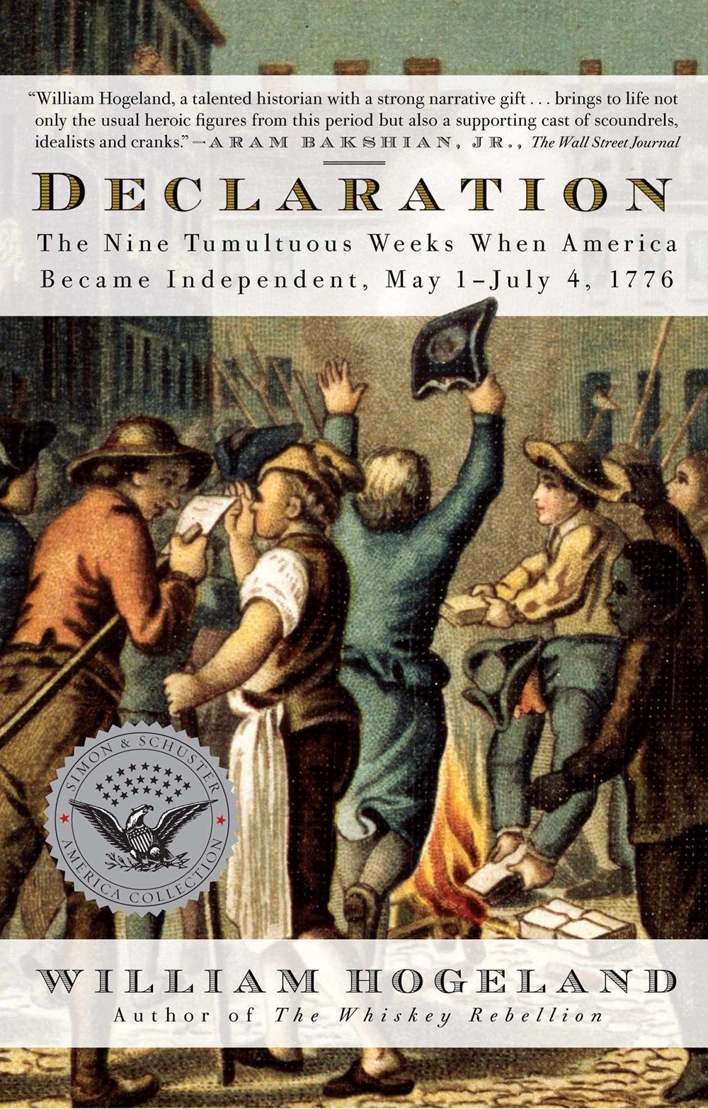 Declaration book cover