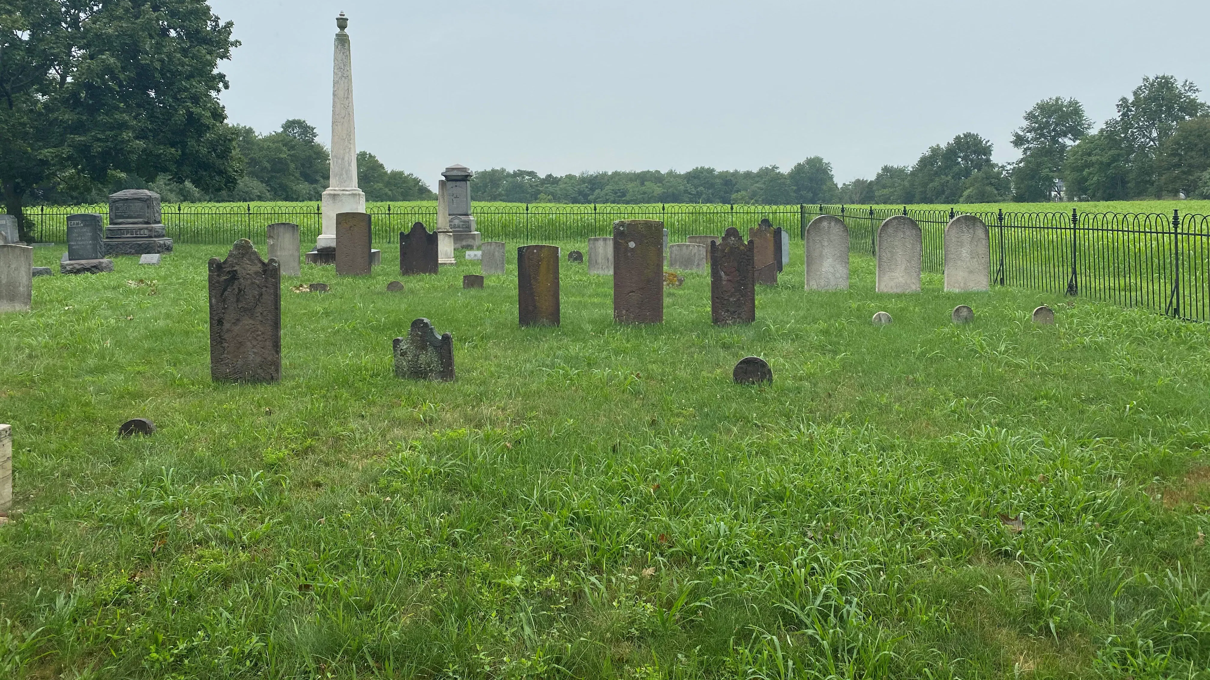 Photo of VanDike gravestones